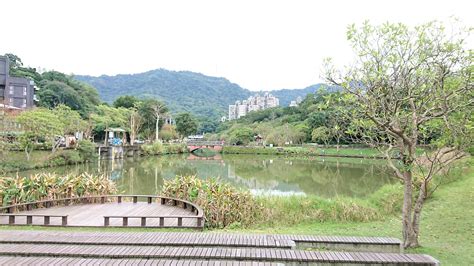 南港公園 能量|台北最強能量場！大片草皮、湖泊超療癒...網：隱身都。